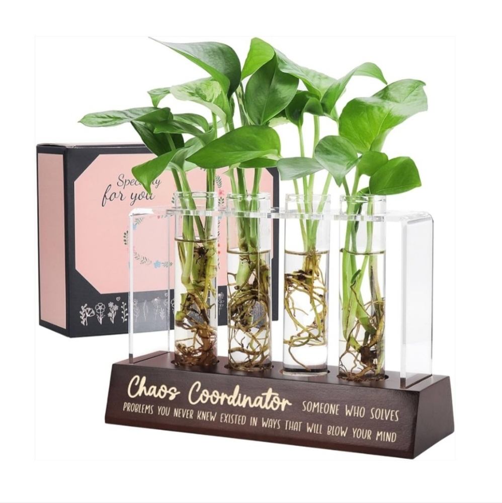 "Chaos Coordinator" Glass Planter Terrarium with Wooden Base Co-Worker Boss Gift